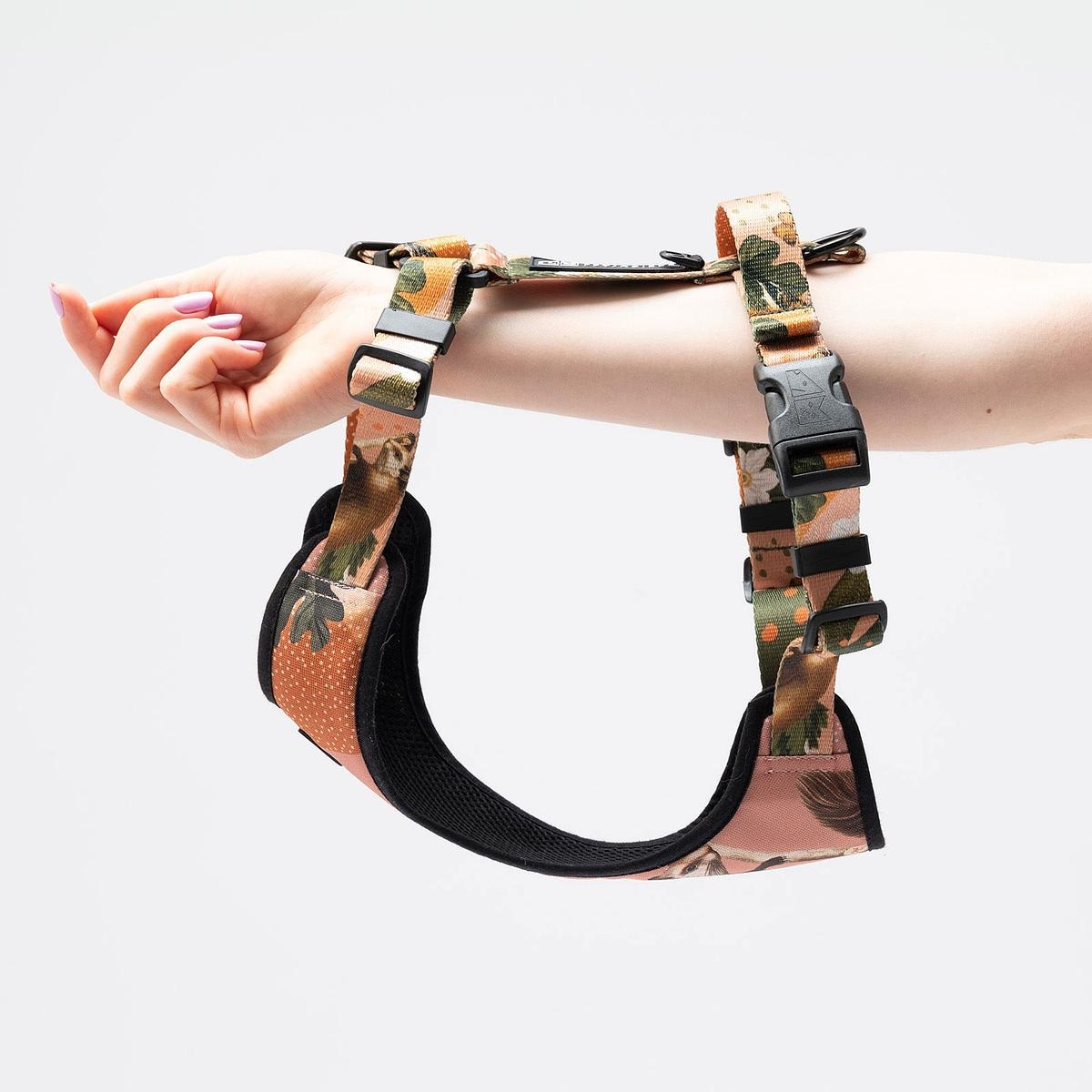 Szelki bezuciskowe dla psa lub kota "Wie wiórka co dobre" - Szerokość taśmy: 25mm, Rozmiar: S