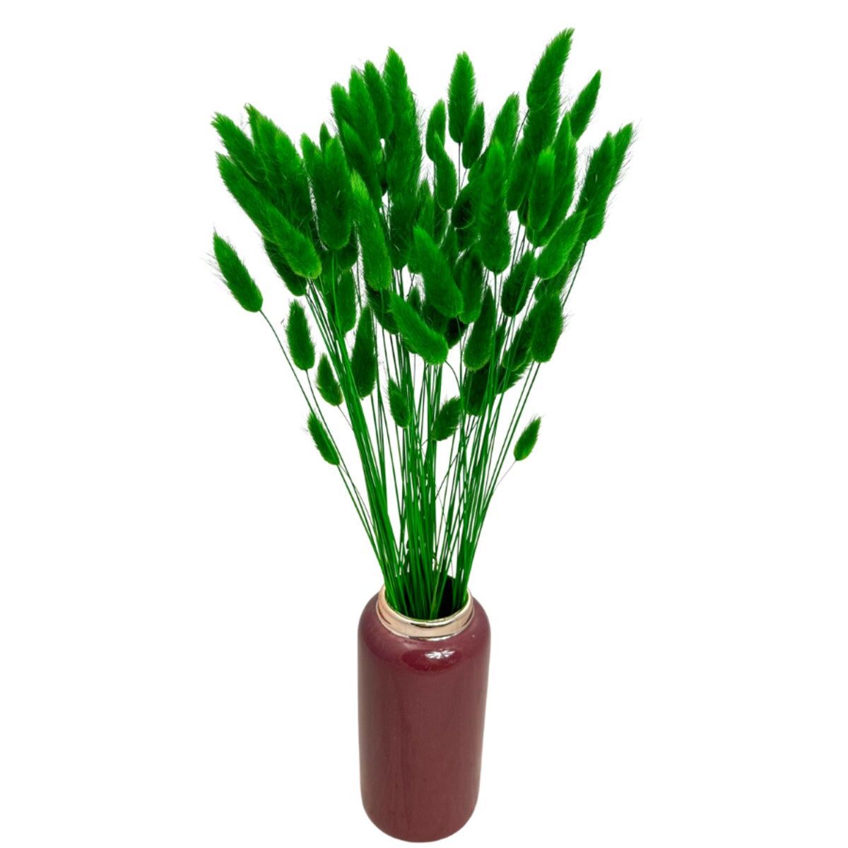 Lagurus ciemnozielony - trawa dekoracyjna