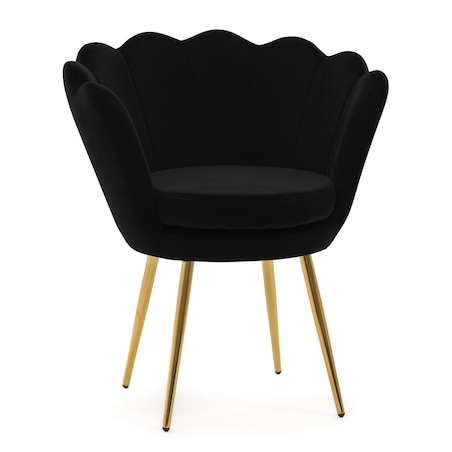 Czarne krzesło welurowe muszla na złotych nogach do toaletki jadalni salonu