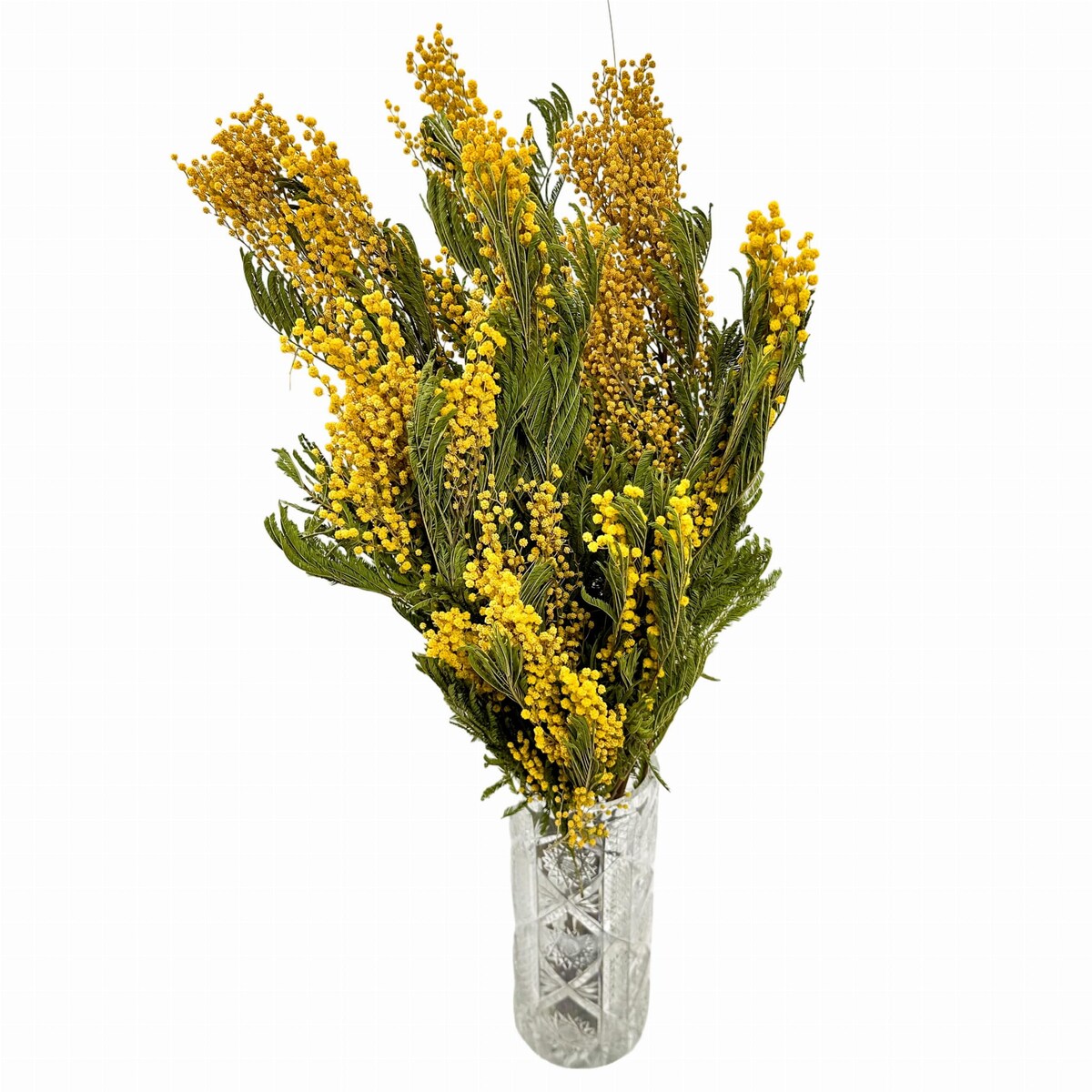 Suszona mimoza - suszone kwiaty - bukiet