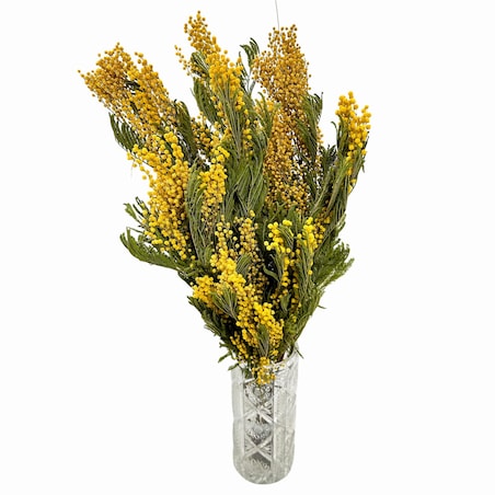 Suszona mimoza - suszone kwiaty - bukiet