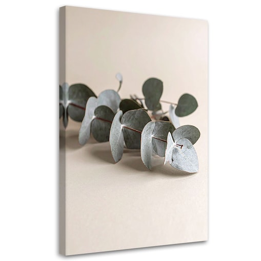 Obraz do salonu nowoczesny, Liście rośliny natura beżowy 40x60