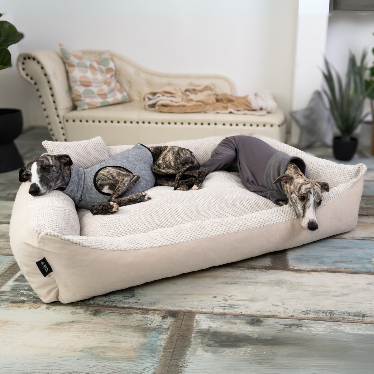 Przytulne legowisko dla psa TEO, 100x80 cm, Beż