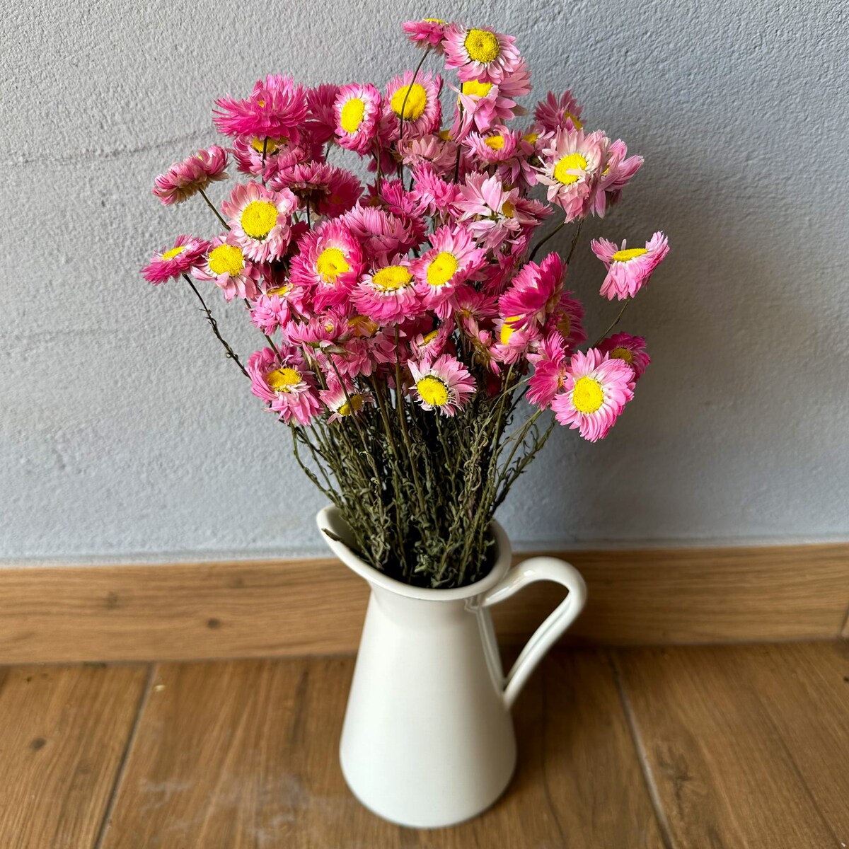 Suszone Acroclinium Różowe