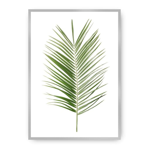 Plakat Palm Leaf Green, 50 x 70 cm, Ramka: Srebrna