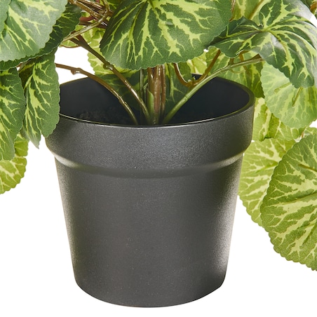 Sztuczna roślina wisząca STRAWBERRY BEGONIA 37 cm Zielony