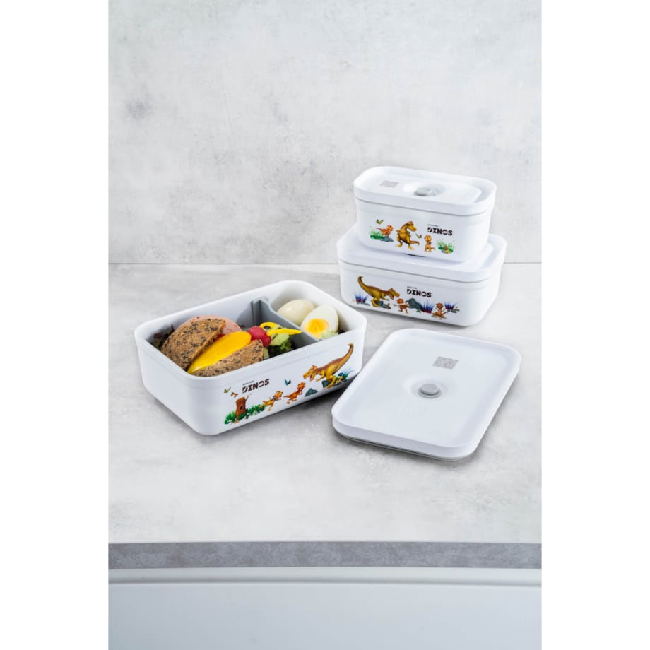 Plastikowy lunch box Dinos Zwilling Fresh & Save - 500 ml