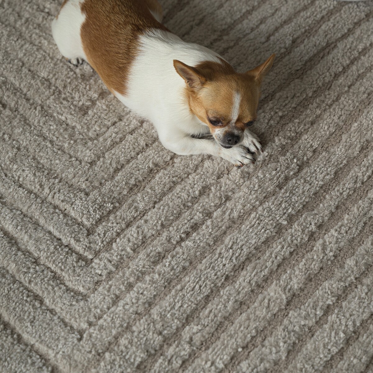 Dywan boho Avalon 80x150 cm e-floor OEKO-TEX beżowy