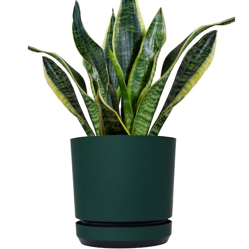 26 cm wzór ZIELONA BUTELKOWA Doniczka z podstawką ciemna zieleń satynowa matowa