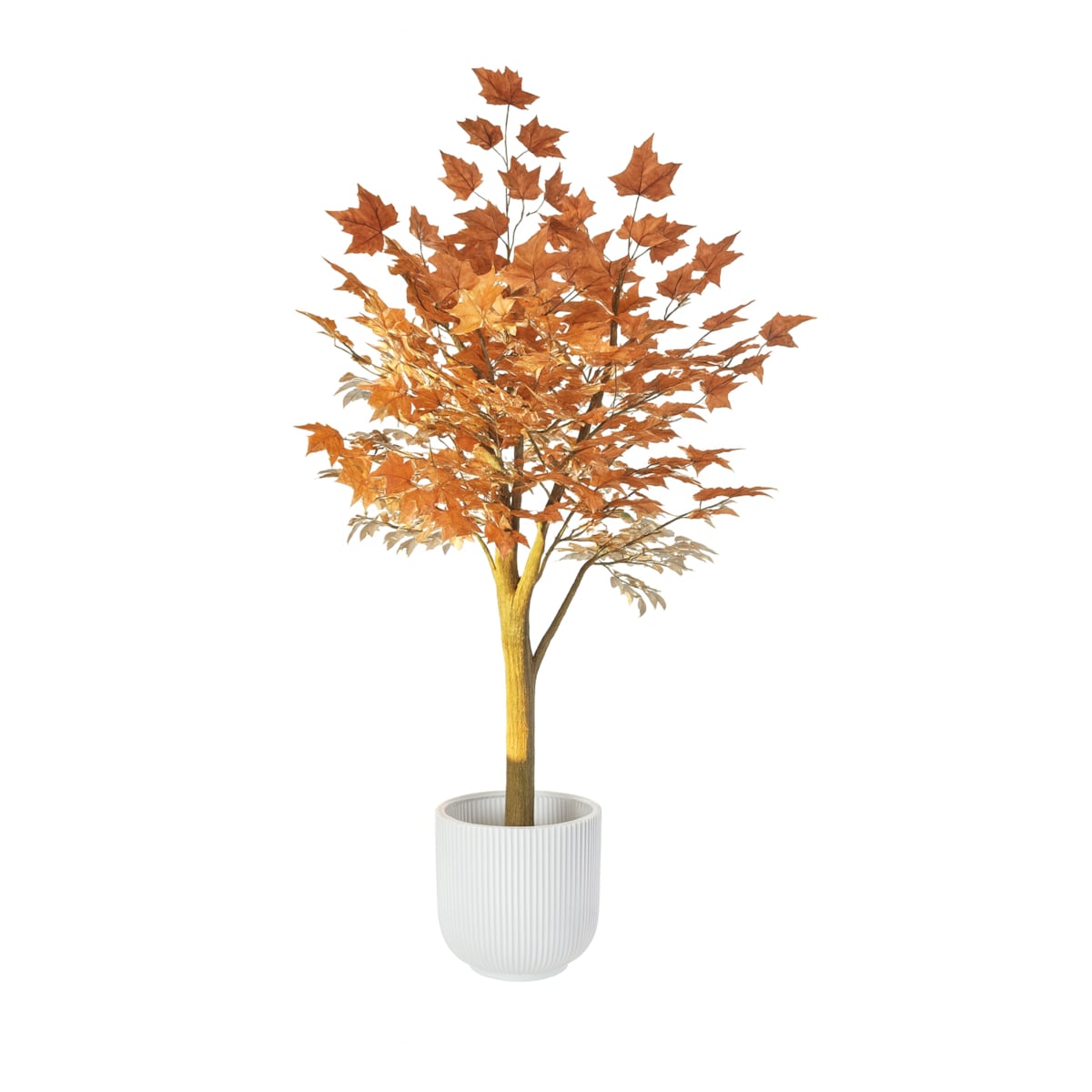 Drzewo klon w kolorze kawy z mlekiem 200 cm na naturalnym pniu