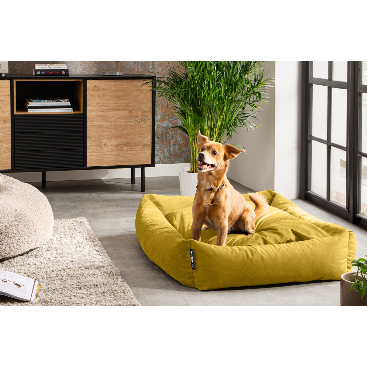 KONSIMO CANINI Legowisko dla dużego psa, żółty
