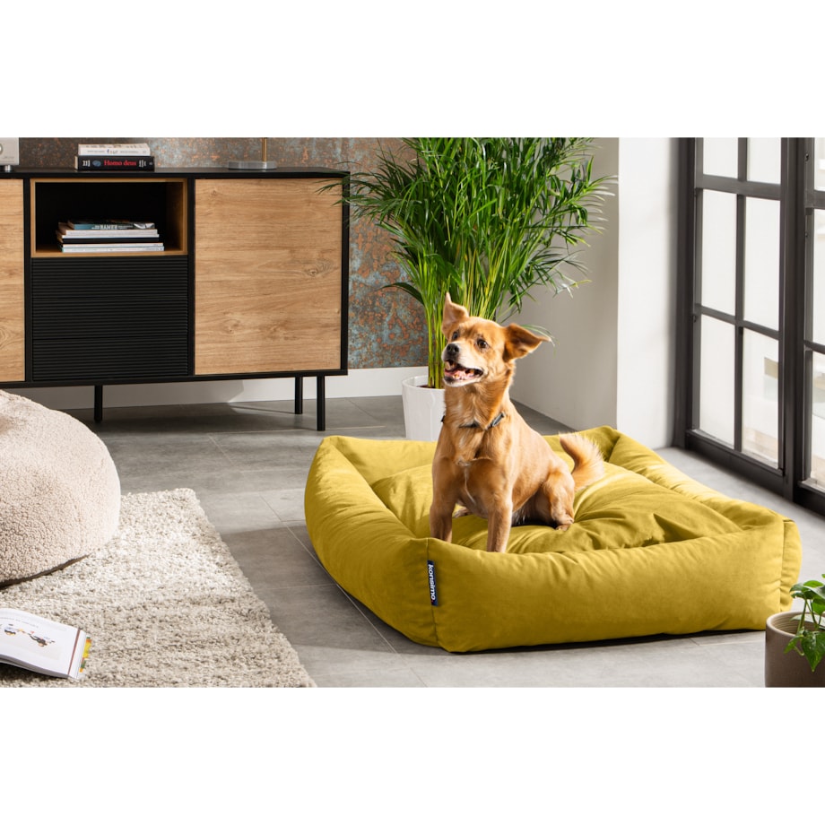 KONSIMO CANINI Legowisko dla dużego psa, żółty
