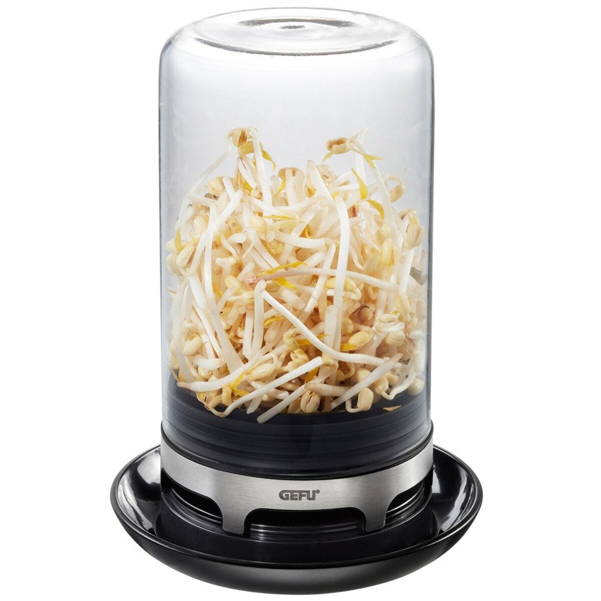 Kiełkownica ze szklaną kopuła, naczynie ze szkła do hodowania kiełków