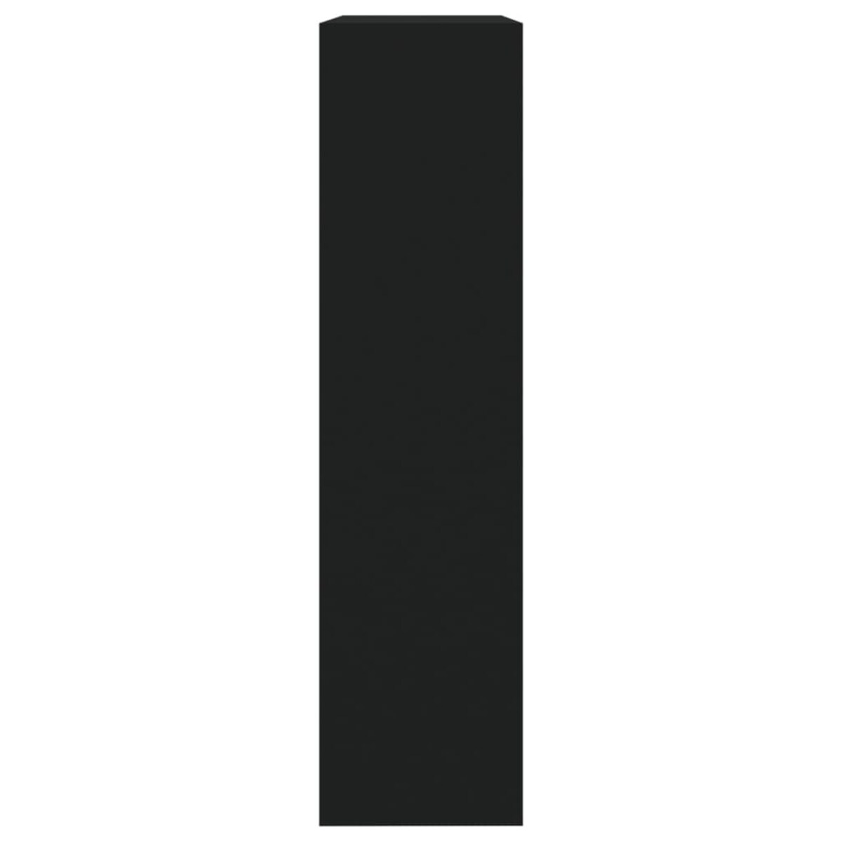 vidaXL Szafka na buty z lustrem i 2 szufladami, czarna, 63x17x67 cm