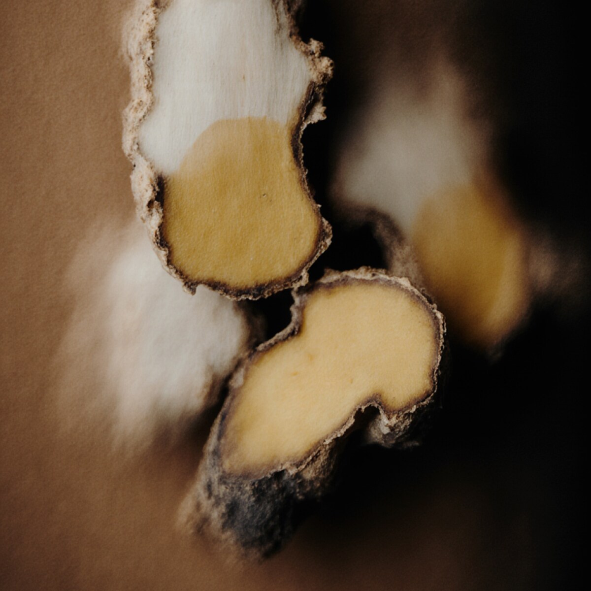 Esenzia Épure - 30ml  zapach do Dyfuzora Plug In