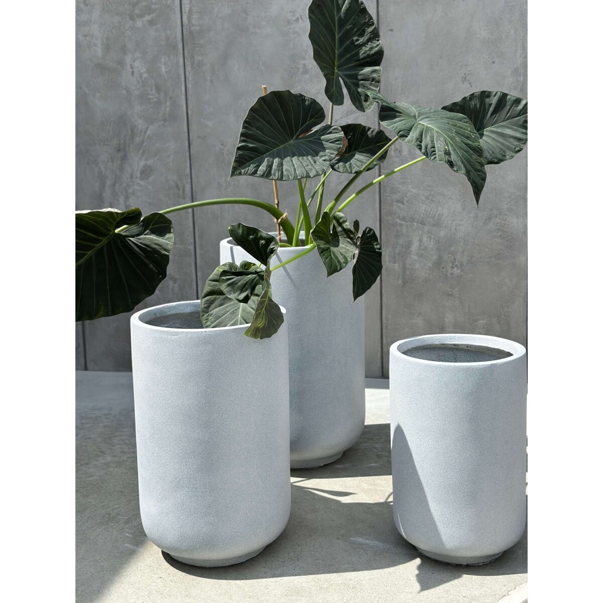 ZESTAW DONICZEK PANDORE SET