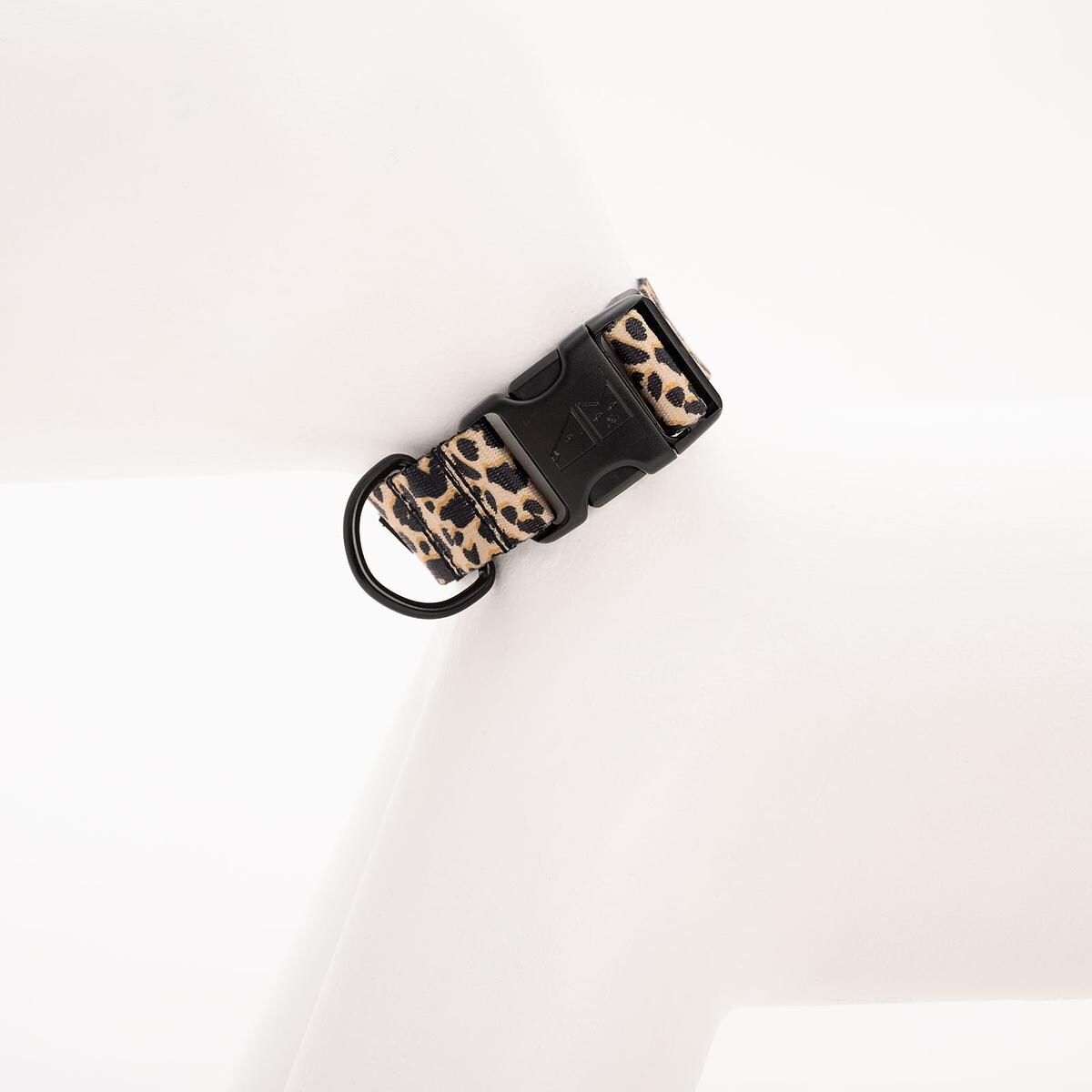 Obroża dla psa lub kota "Pan tera mi kupi" PANTERKĄ DO GÓRY - Szerokość taśmy: 38mm, Rozmiar: M