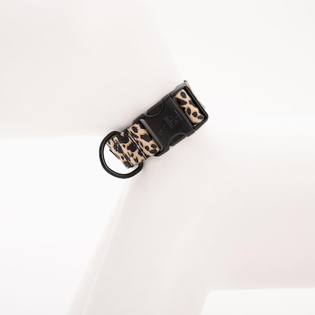 Obroża dla psa lub kota "Pan tera mi kupi" PANTERKĄ DO GÓRY - Szerokość taśmy: 38mm, Rozmiar: M