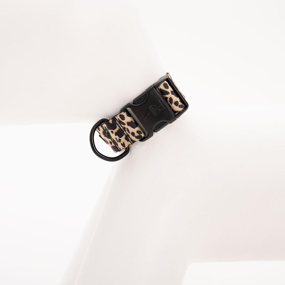 Obroża dla psa lub kota "Pan tera mi kupi" PANTERKĄ DO GÓRY - Szerokość taśmy: 38mm, Rozmiar: M