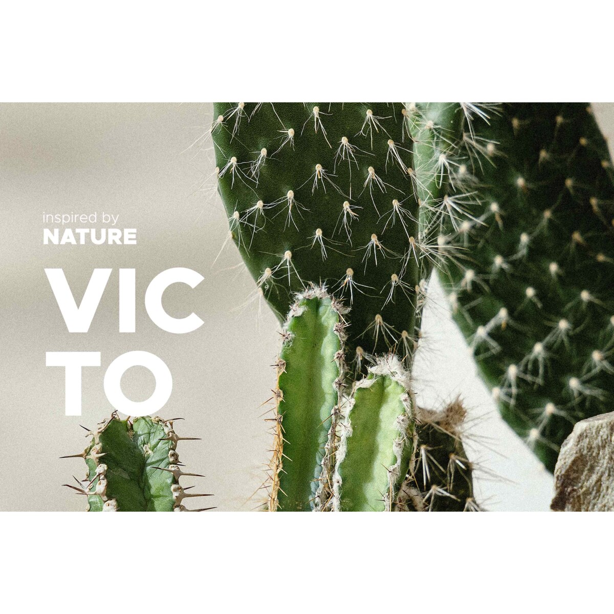 Konsimo VICTO Talerz głęboki 6szt., pistacjowy