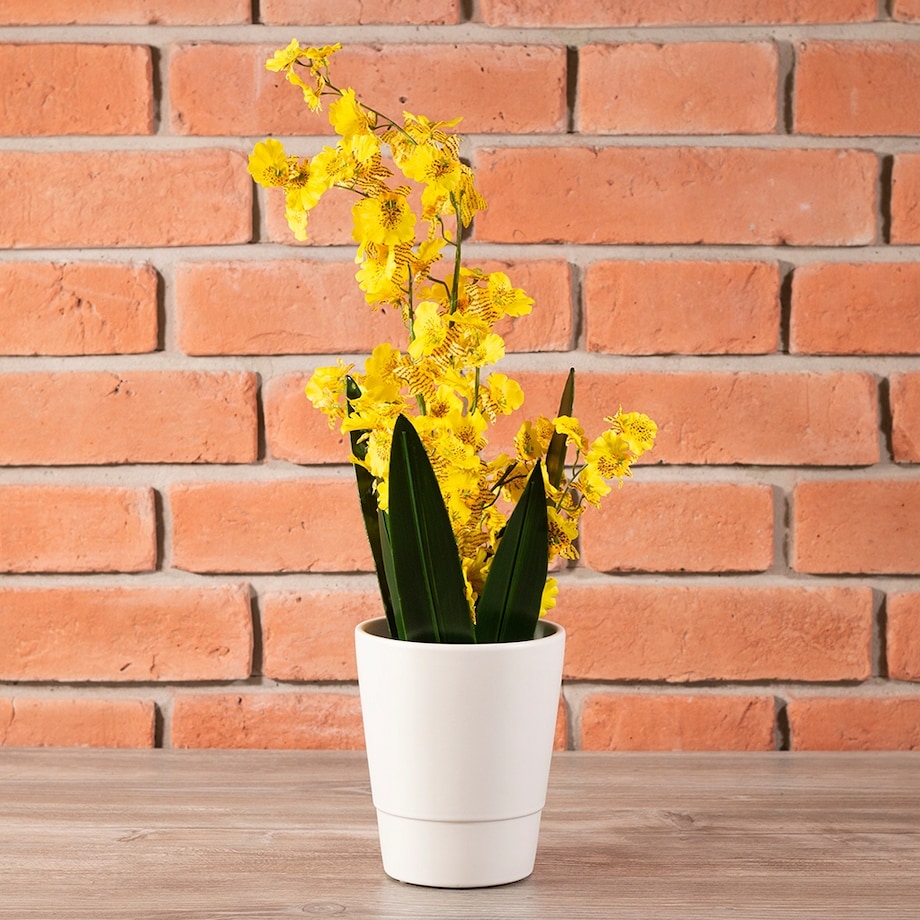 DONICA BIAŁA na storczyki CERAMICZNA śr. 13cm