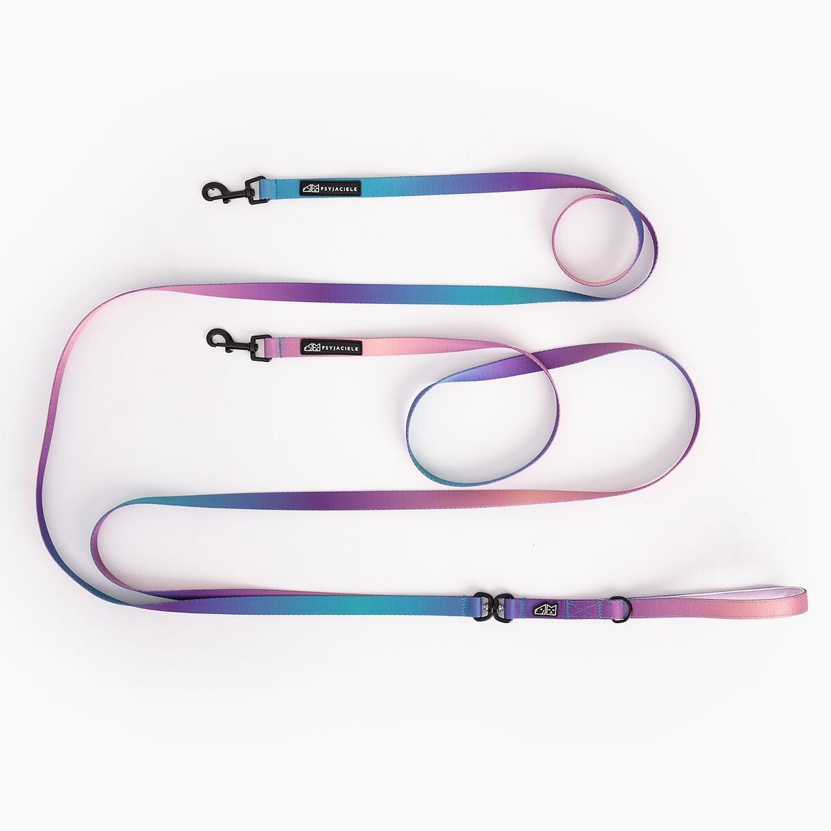 Miejska dla 2 mikro psów - Rodzaj: Mini karabinek