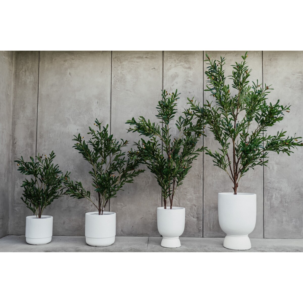 DUŻE DRZEWKO OLIWNE 180 cm - DEKORACJA INSPIROWANA NATURĄ