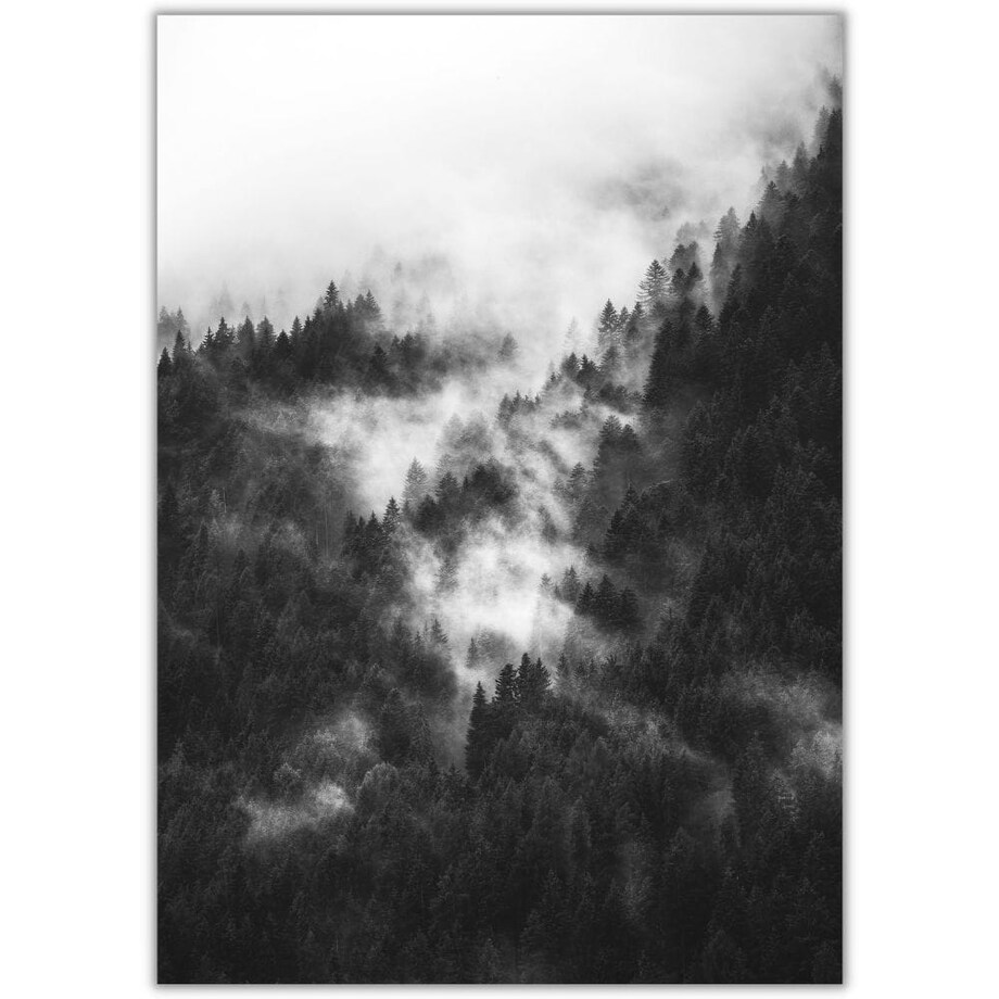 plakat las we mgle 2 50x70 cm