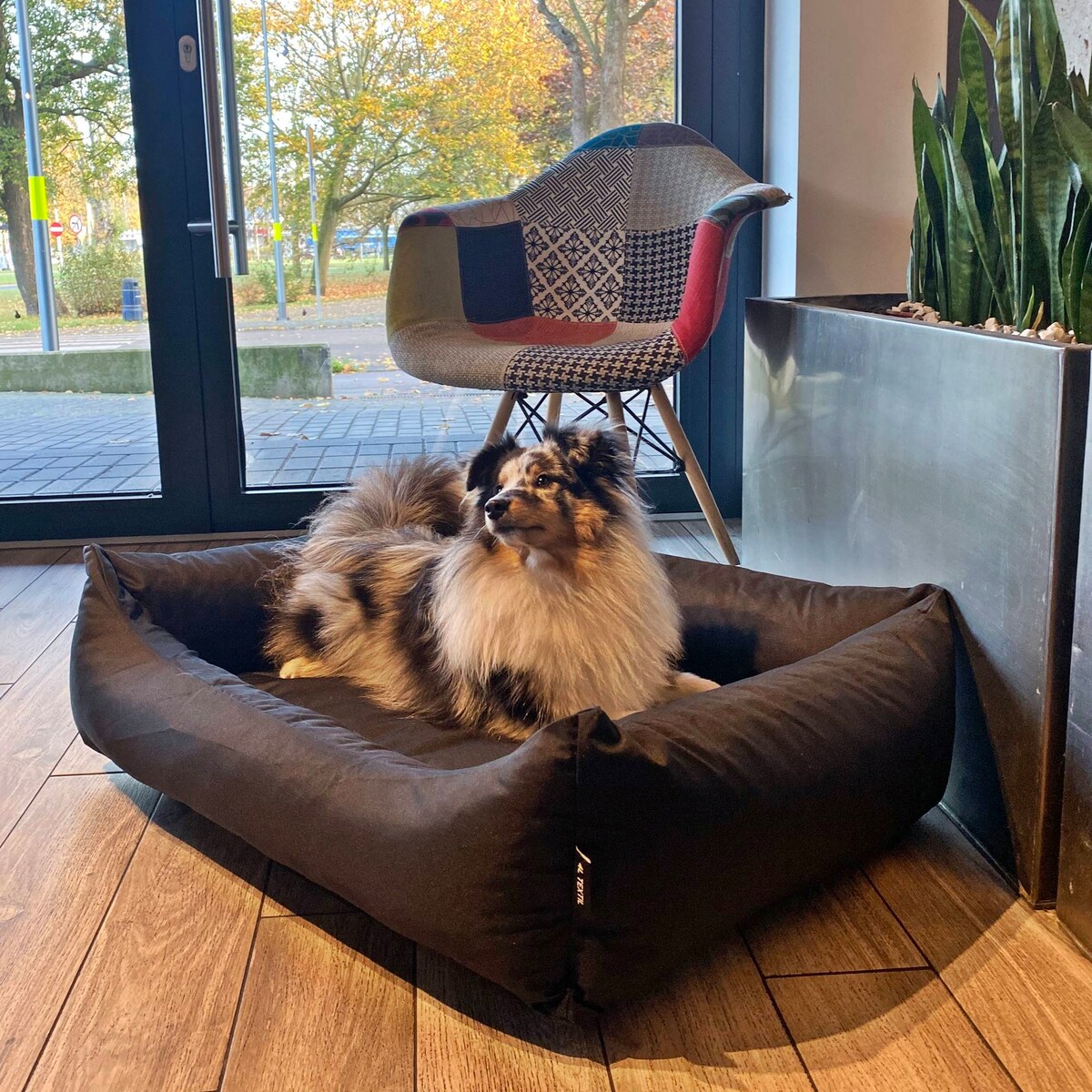 Wodoodporne legowisko dla psa KOKO, 80x60 cm, Czarny