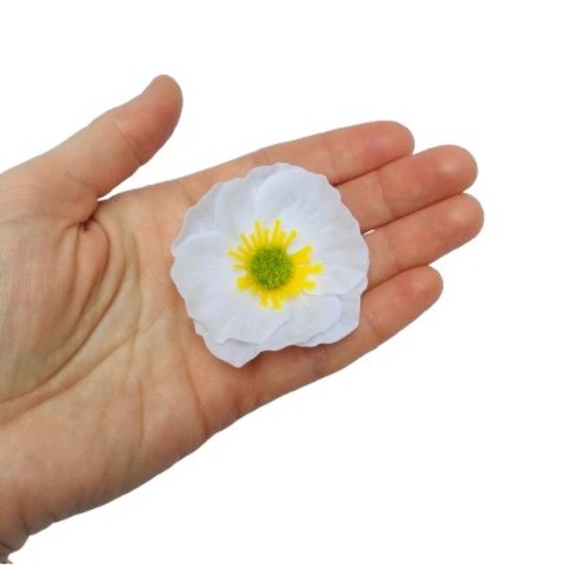 KWIATY MYDLANE biały okrągły główka do stroika bukietu box prezent upominek