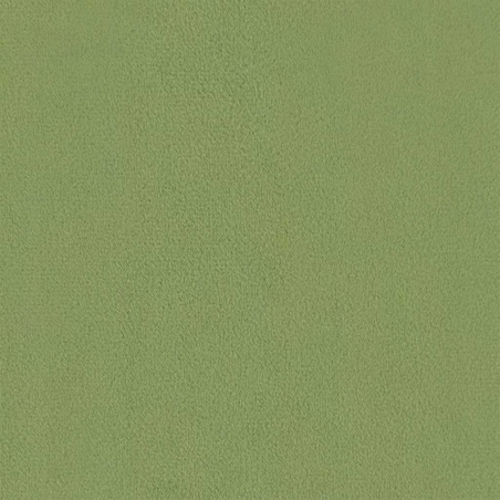 vidaXL Fotel bujany, jasnozielony, tapicerowany aksamitem