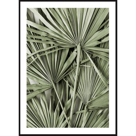 Poster Story, Plakat, Obraz - Zielone Liście Palmy, wymiary 70 x 100 cm