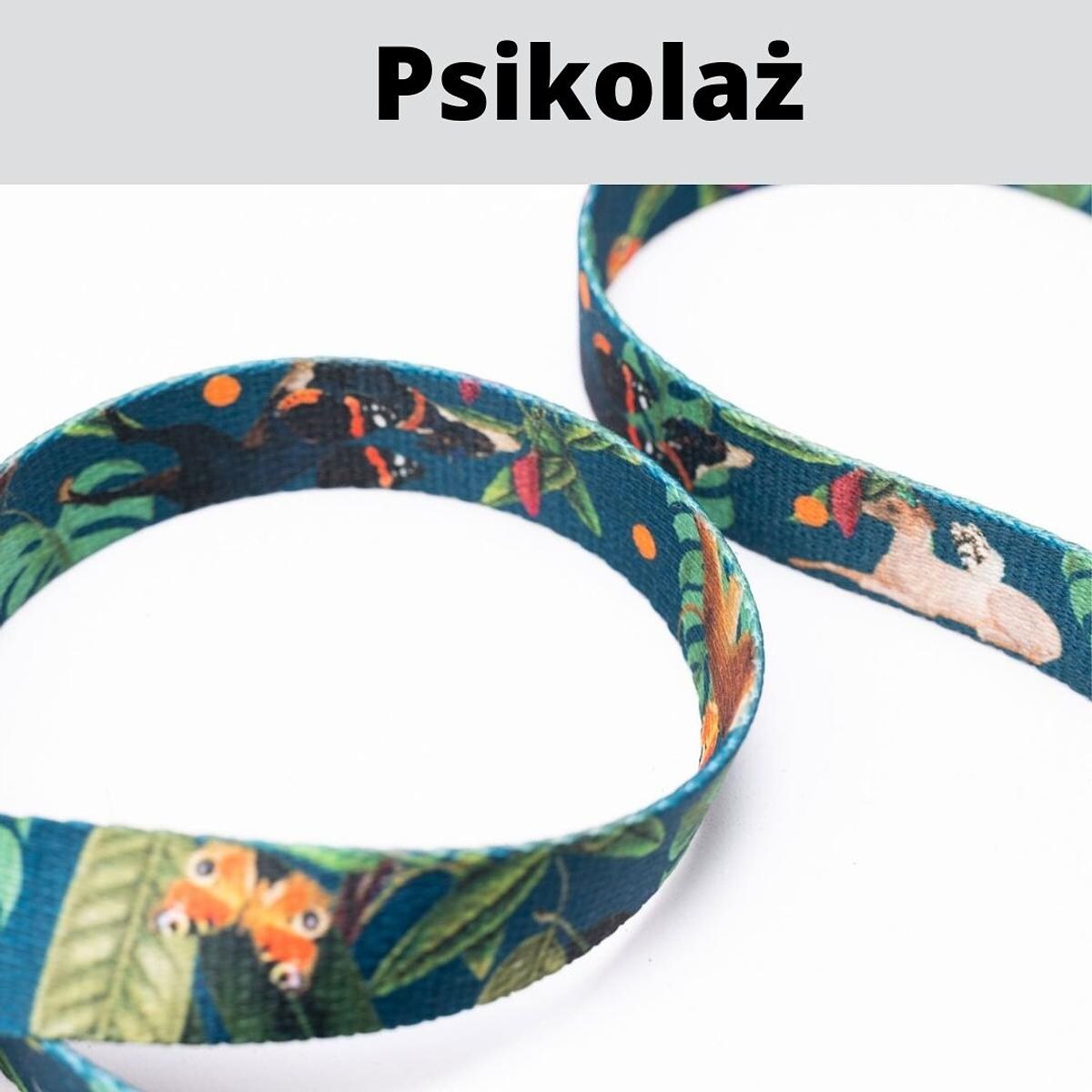 Pas samochodowy dla 2 psów - Szerokość taśmy: 20mm