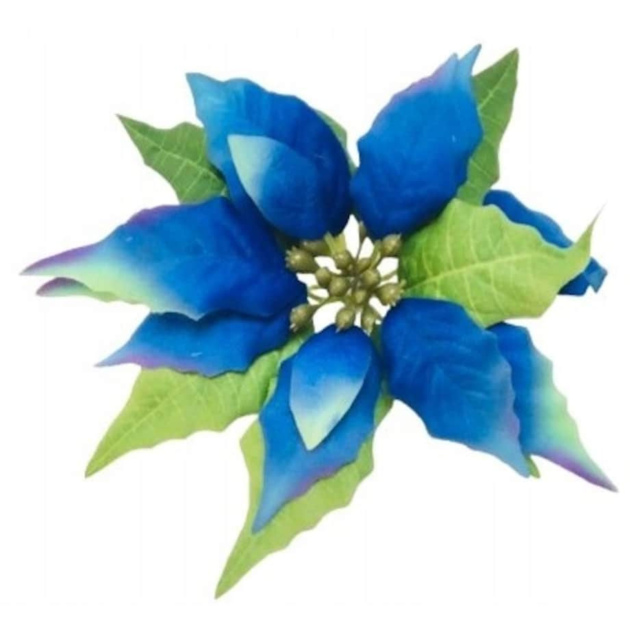 GWIAZDA KWIAT poinsecja BETLEJEMSKA niebieska na bukiet wianek dekoracja