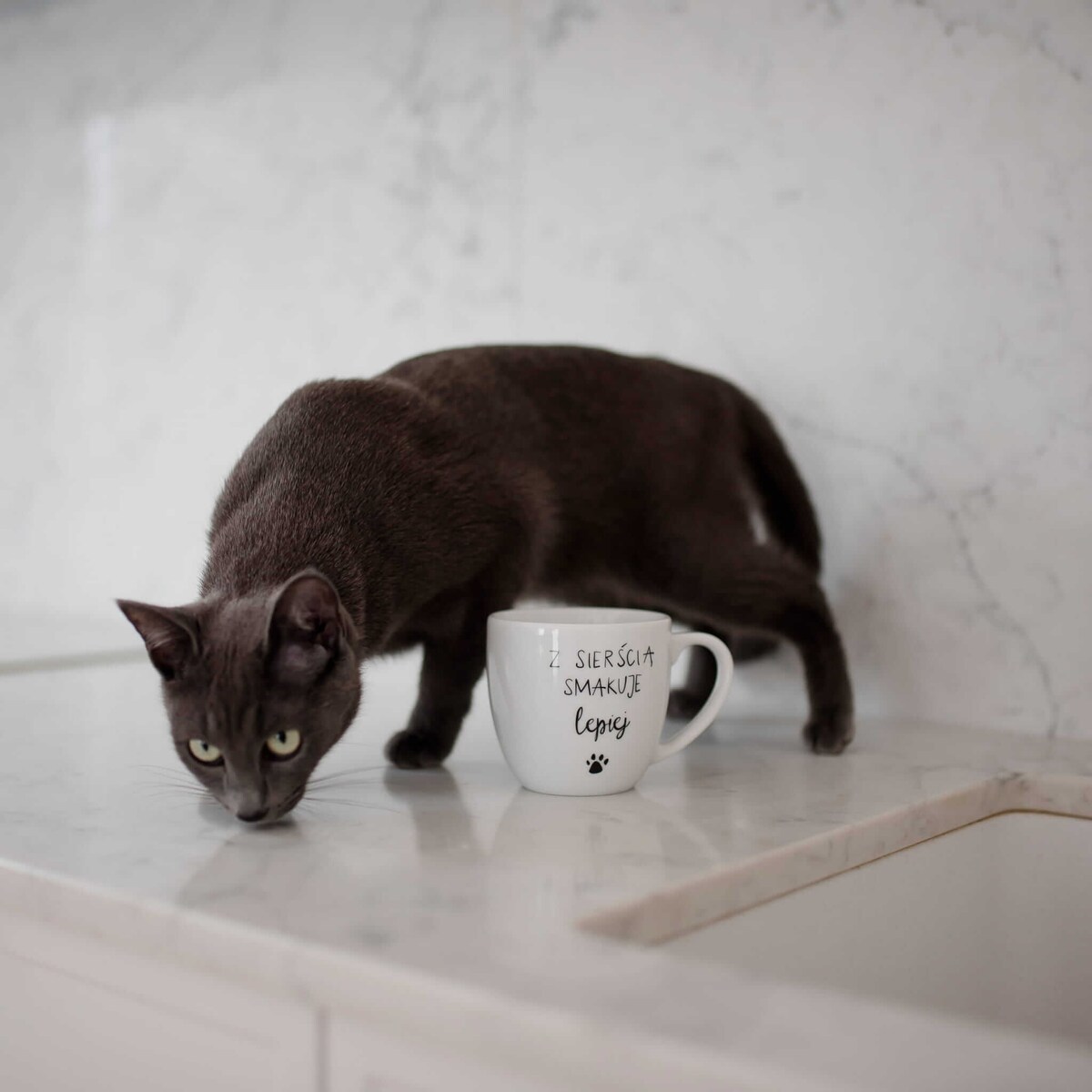 Biały Kubek Porcelanowy 300 ml - Napis Z Sierścią Smakuje Lepiej dla Miłośniczki Zwierząt na Urodziny