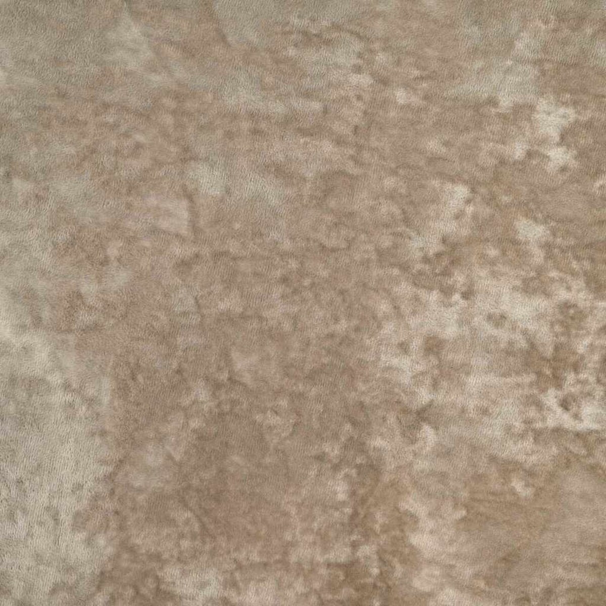 vidaXL Zasłona z zasłonami 2 pcs szampański 245 x 140 cm Aksamit