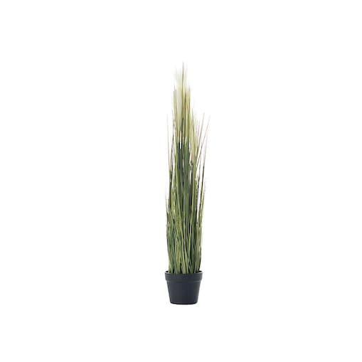 Dekoracja roślinna Pampas Grass 100cm, 100 cm