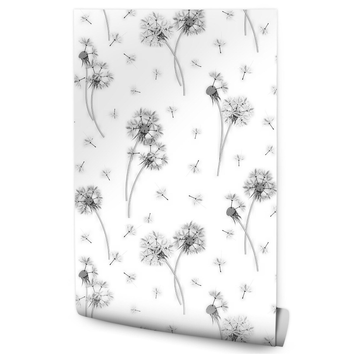 Tapeta Czarno-Białe DMUCHAWCE Natura