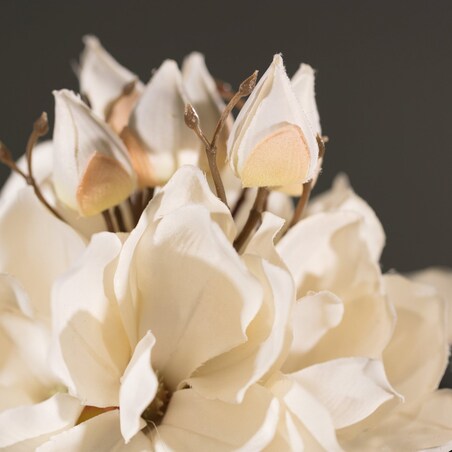 Bukiet Magnolii cream wys. 32cm, 20 x 20 x 32 cm