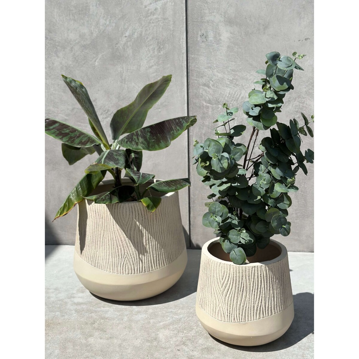 DONICZKA ALETTO SAND EDGE S