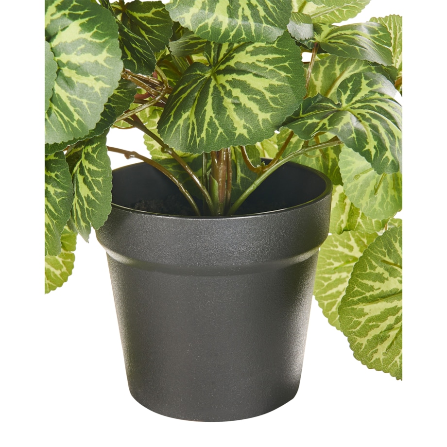 Sztuczna roślina KUNGA Zielony