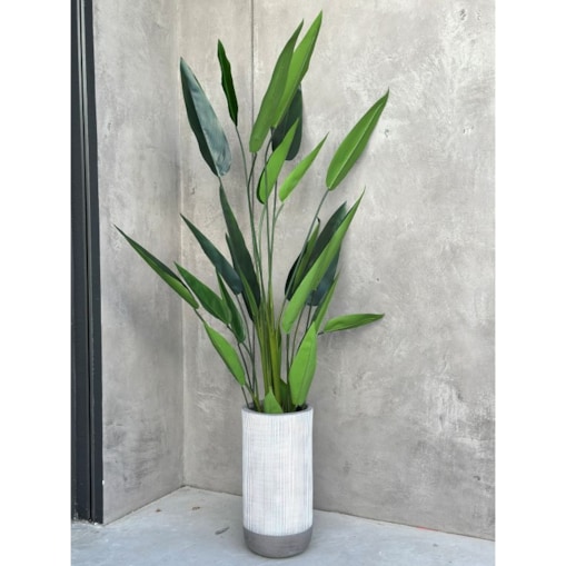 KWIAT STRELICJA KRÓLEWSKA 120 cm