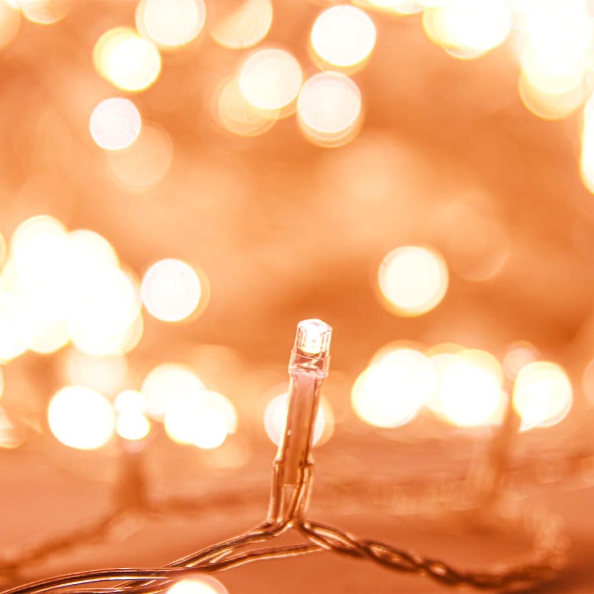 vidaXL Sznur lampek LED, 2000 diod w kolorze ciepłej bieli, 200 m, PVC