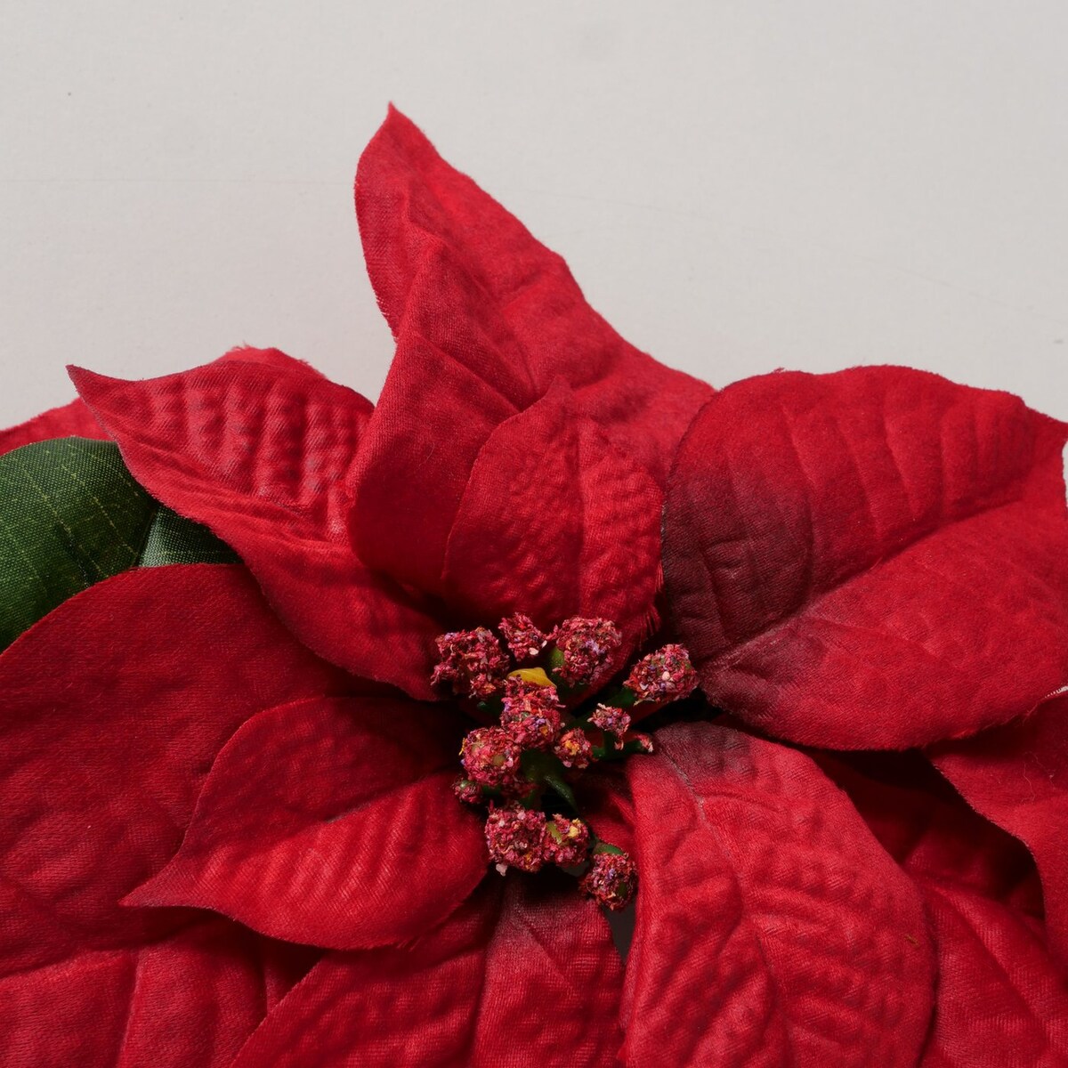 Wieniec świąteczny z kwiatów gwiazdy betlejemskiej, Ø 50 cm