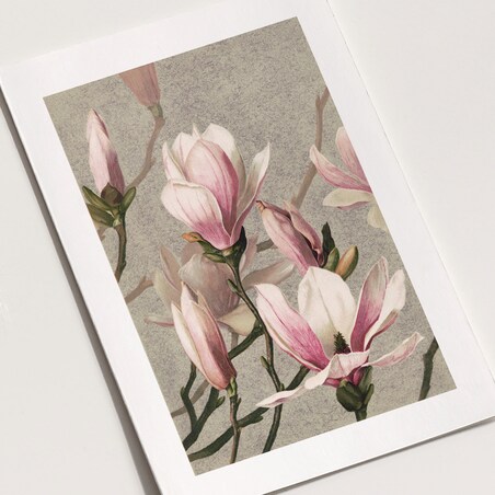 Plakat Magnolia 30x40cm