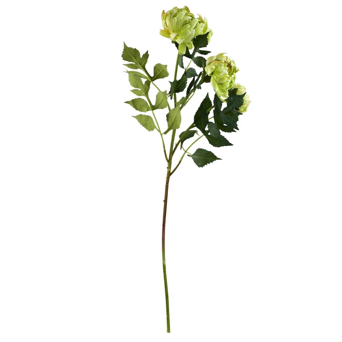 Gałązka Kwiatowa Viridis