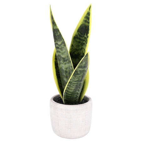 Sztuczny kwiat JAK ŻYWY do wazonu Sansewieria WĘŻOWNICA roślina ZIELONA