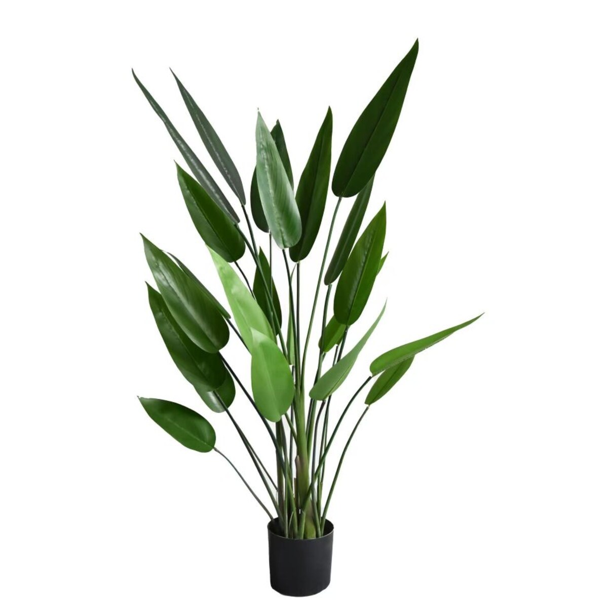 KWIAT DUŻA STRELICJA KRÓLEWSKA 150 cm