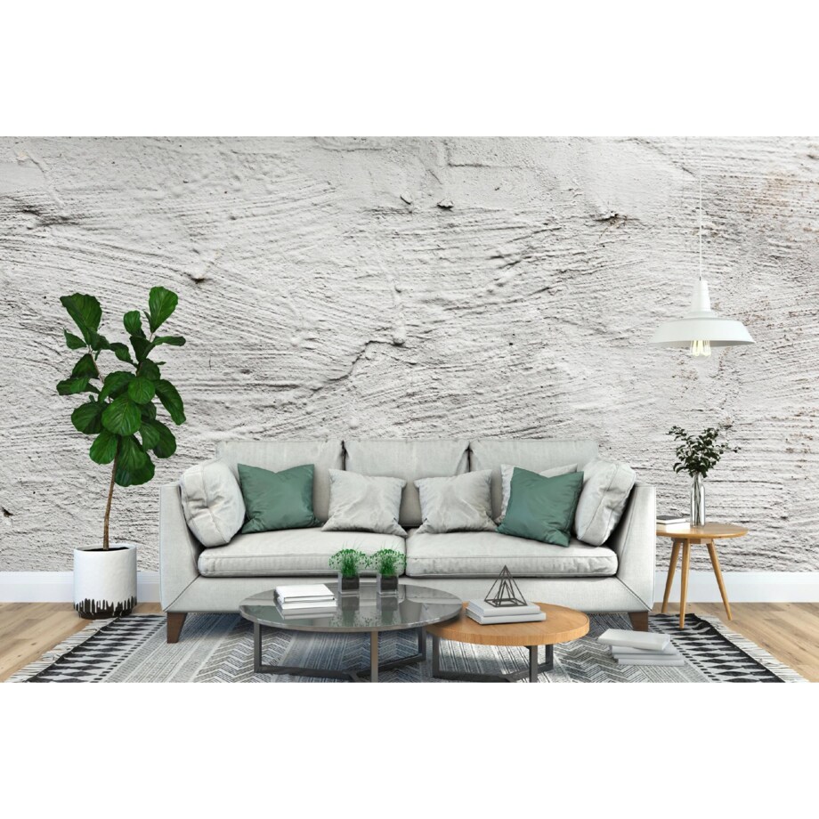 Fototapeta Pomalowana Na Bialo Tekstura Do Sypialni Salonu 250X175