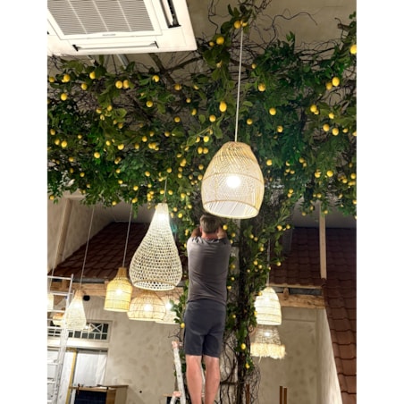 Instalacja z cytryn - drzewo cytrynowe 25m2